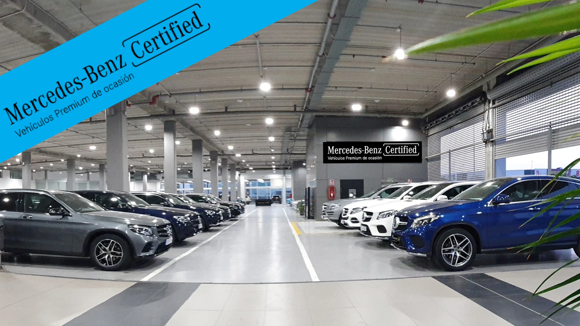 Mercedes-Benz Certified en Autocas Mercedes-Benz Certified en Autocas